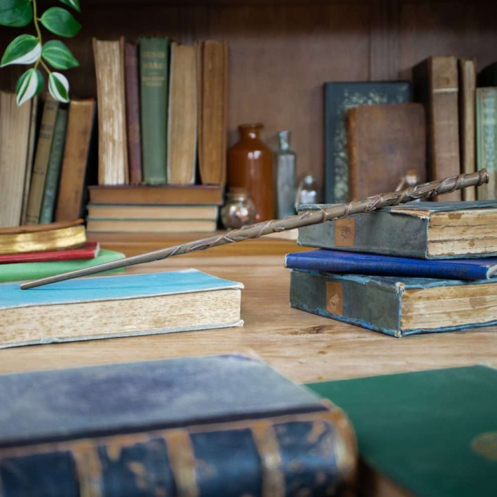 Hermione Wand in Ollivanders Box