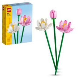 FLOWERS - FIORI DI LOTO